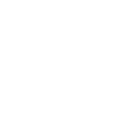 T-ARC